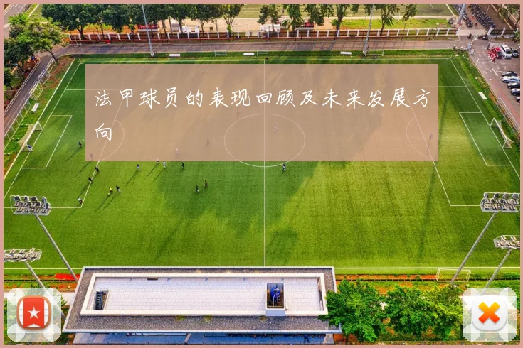 法甲球员的表现回顾及未来发展方向
