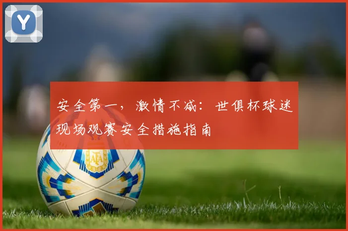 安全第一，激情不减：世俱杯球迷现场观赛安全措施指南