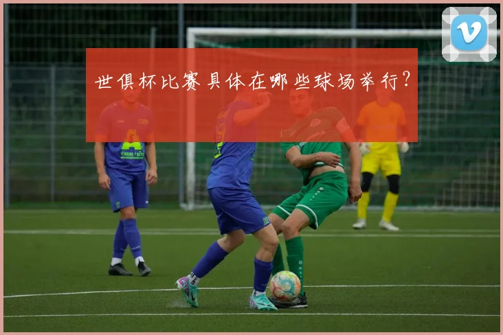 世俱杯比赛具体在哪些球场举行？