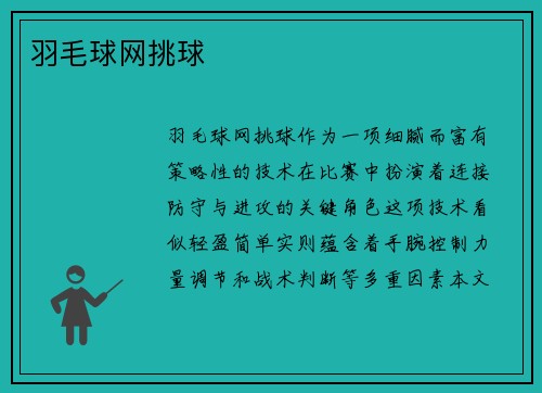 羽毛球网挑球