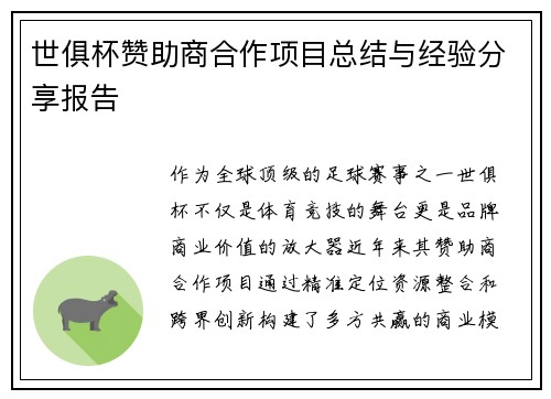 世俱杯赞助商合作项目总结与经验分享报告